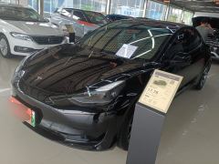 Tesla Model 3 556km Rear-Wheel Drive Edition - фото 1