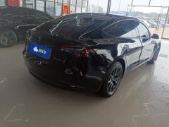 Tesla Model 3 556km Rear-Wheel Drive Edition - фото 2