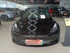 Tesla Model 3 556km Rear-Wheel Drive Edition - фото 3
