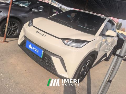 2023 BYD Seagull 305km Free Version - ავტომობილი ჩინეთიდან