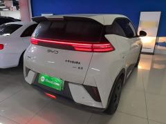 BYD Seagull Smart Drive 305km Vitality Edition - ფოტო 6