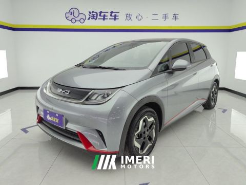 2021 BYD Dolphin 405km Stylish Edition - ავტომობილი ჩინეთიდან
