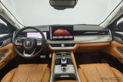 Tank 500 3.0T Business Edition Boundary Creation 5-seater - ფოტო 14