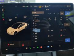 Tesla Model 3 675km Performance High-Performance AWD Version - фото 20