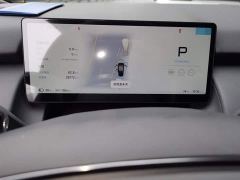 Xpeng P7 Long Range Max - фото 12