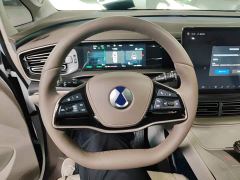 Denza D9 EV 600 AWD Prestige - ფოტო 10