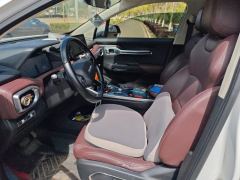 Geely Radar Horizon EV 550km Maker Edition - photo 14
