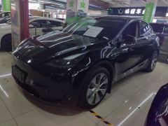 Tesla Model Y 545km Rear-Wheel Drive Edition - фото 1