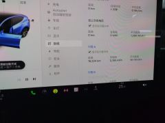 Tesla Model Y 545km Rear-Wheel Drive Edition - фото 15