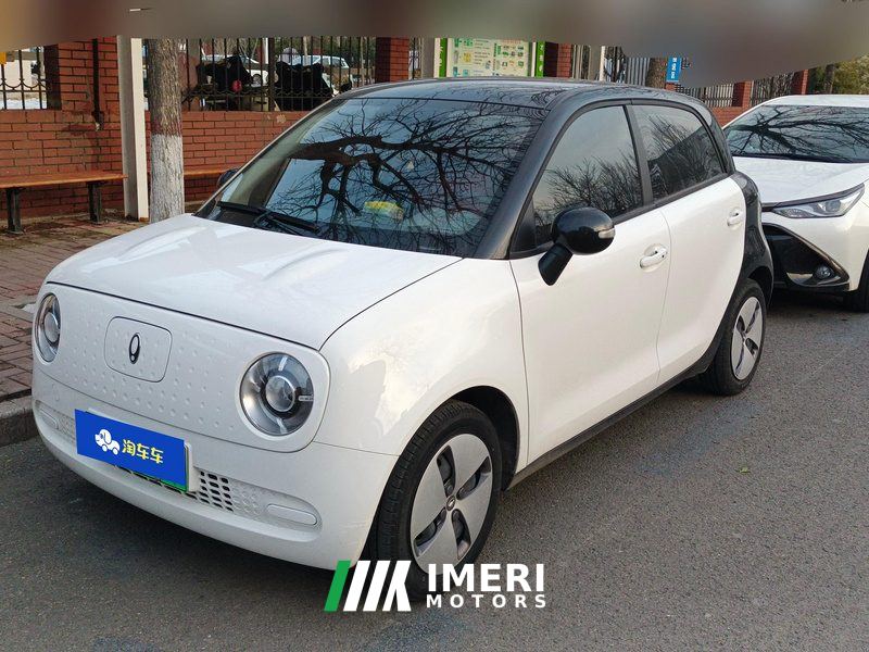 Ora Black Cat 301km Base Ternary Lithium - ავტომობილი ჩინეთიდან