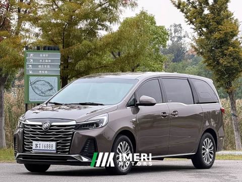 2024 Buick GL8 Land Business Class Smart Edition - автомобиль из Китая