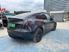 Tesla Model Y Rear-Wheel Drive - ფოტო 9