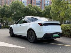 Tesla Model Y Rear-Wheel Drive - ფოტო 9