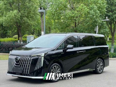 2024 GAC Trumpchi M8 Master Series 2.0T Supreme Edition 7-seater - ავტომობილი ჩინეთიდან