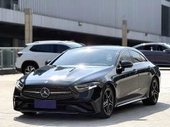 Mercedes-Benz CLS 300 Dynamic - ფოტო 1