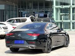 Mercedes-Benz CLS 300 Dynamic - ფოტო 7
