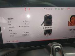 Xpeng Xiaopeng P7 670E Black Label Edition - photo 11