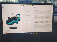 Tesla Model 3 556km Rear-Wheel Drive Edition - ფოტო 20