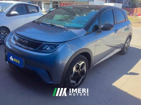 2021 BYD Dolphin 405km Free Version