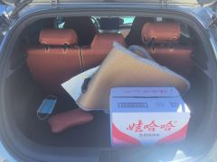 BYD Dolphin 405km Free Version - ფოტო 7