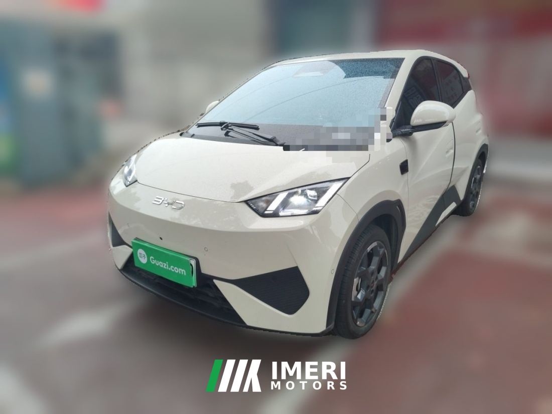 BYD Seagull Smart Driving Edition 305km Free Version - ავტომობილი ჩინეთიდან