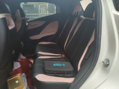 BYD Seagull Smart Driving Edition 305km Free Version - ფოტო 13