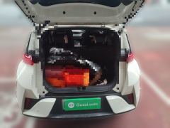 BYD Seagull Smart Driving Edition 305km Free Version - ფოტო 15