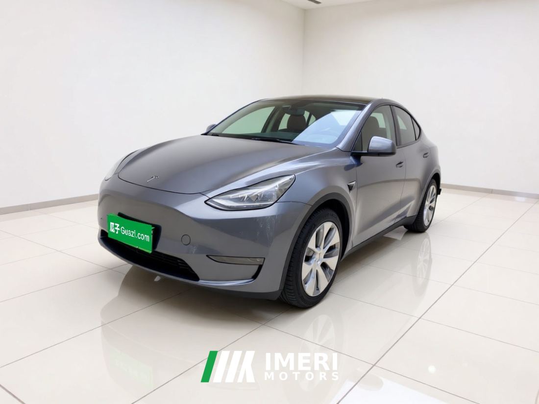 Tesla Model Y Standard endurance rear-wheel drive - ავტომობილი ჩინეთიდან