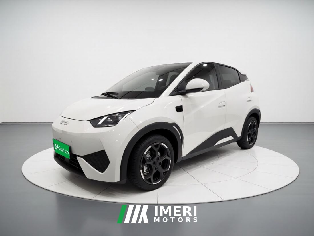 BYD Seagull Smart Driving Edition 305km Free Version - автомобиль из Китая