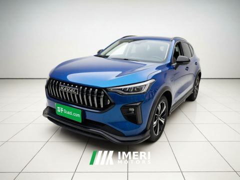 2021 Haval Chitu Jiqing Edition 1.5T Golden Rabbit - ავტომობილი ჩინეთიდან