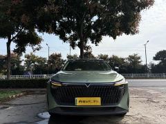 Venucia Raize DD-i 110km iE Edition - ფოტო 7