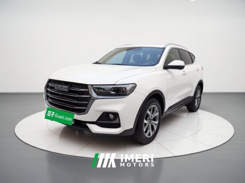 2021 Haval H6 Guochao Edition 1.5T 2WD Champion Edition - ავტომობილი ჩინეთიდან