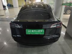 Tesla Model 3 556km Rear-Wheel Drive Edition - фото 6