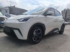 BYD Seagull 305km Vitality Edition - photo 1