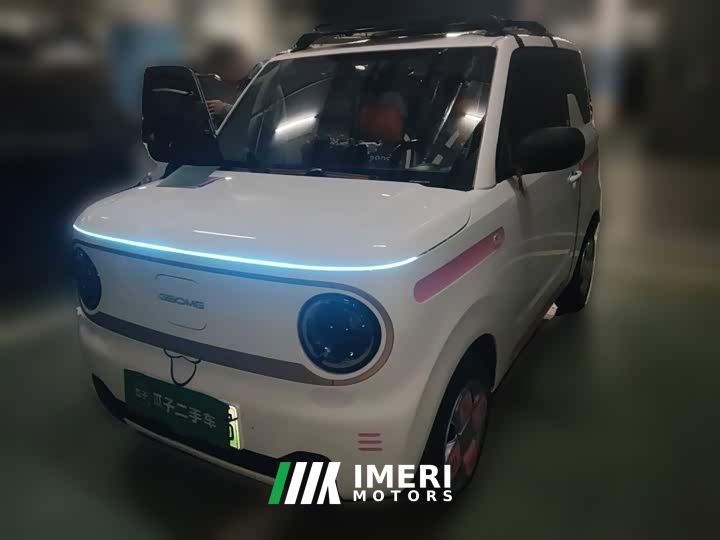 Geely Panda Mini 200km Endurance Edition