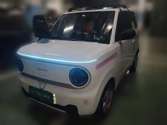 Geely Panda Mini 200km Endurance Edition - photo 1