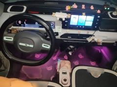 Geely Panda Mini 200km Endurance Edition - photo 10