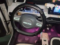Geely Panda Mini 200km Endurance Edition - photo 11