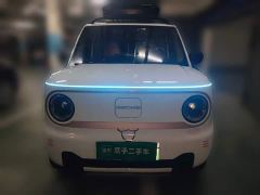 Geely Panda Mini 200km Endurance Edition - photo 2