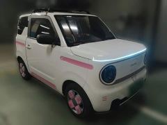 Geely Panda Mini 200km Endurance Edition - photo 3