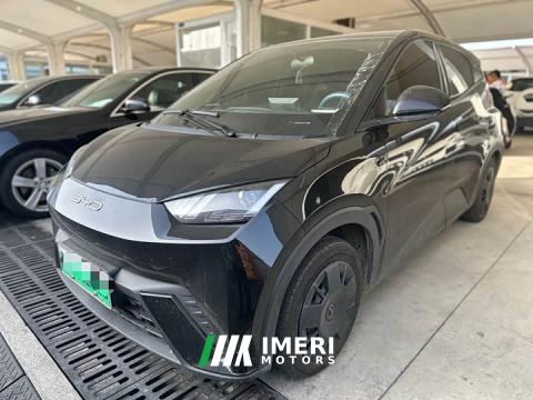 2024 BYD Seagull Vitality Edition - ავტომობილი ჩინეთიდან