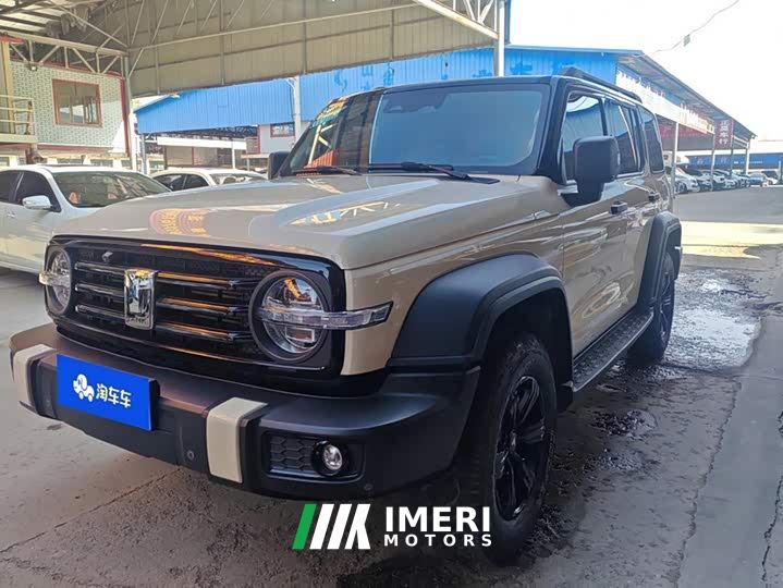 Tank 300 Off-Road Edition 2.0T Conqueror - ავტომობილი ჩინეთიდან