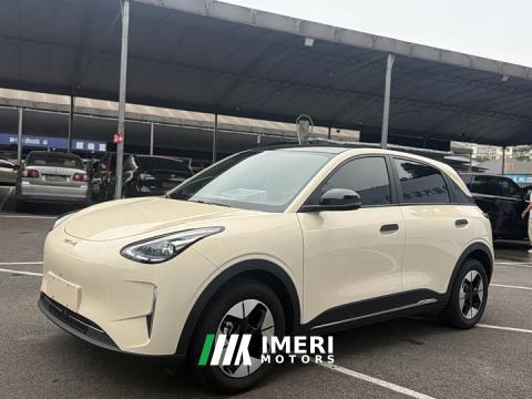 2025 Geely Xing Yuan 310km Dream Edition - автомобиль из Китая