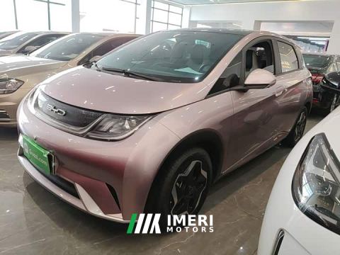 2022 BYD Dolphin 405km Fashion Edition