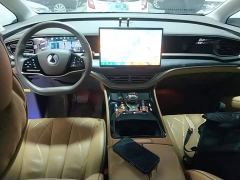 Denza D9 DM-i 1040 Premium - ფოტო 9