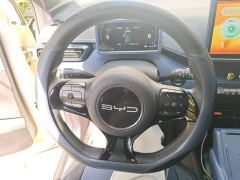 BYD Seagull Vitality Edition - photo 11