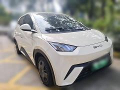 BYD Seagull Vitality Edition - photo 3