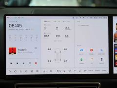 Li Auto L9 Pro - ფოტო 10