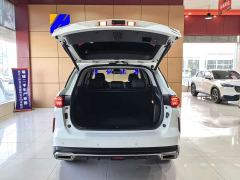 GAC GS4 PLUS 390T Edition - ფოტო 14