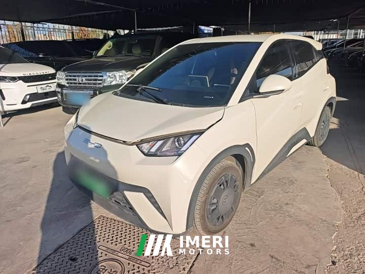 BYD Seagull Vitality Edition
